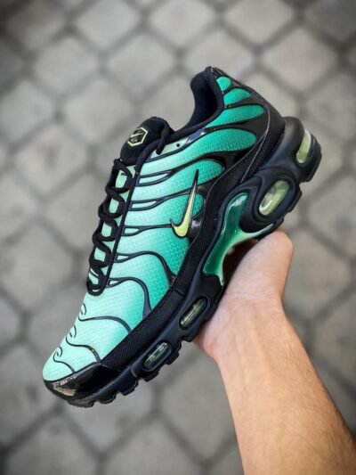 TN VERT